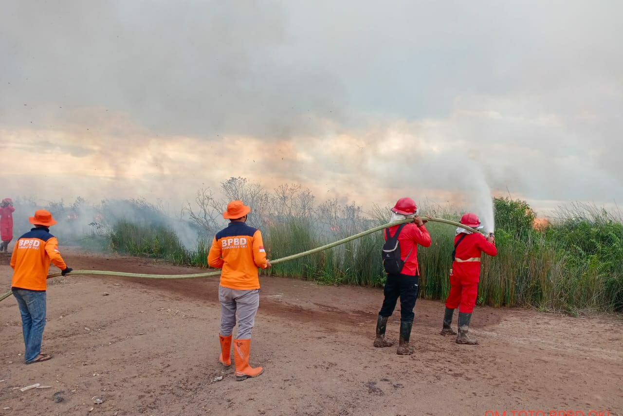 Petugas Gabungan Selidiki Penyebab Terbakarnya 3 Hektar Lahan Gambut di Pampangan OKI