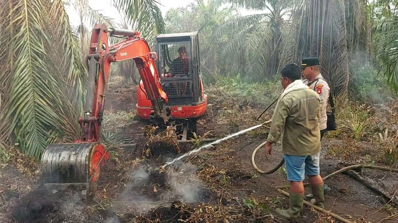 Lahan Kebun BLC PT BKI Terbakar, Jumlahnya Capai 0,8 Hektar, Ini Yang Dilakukan Polsek Lalan