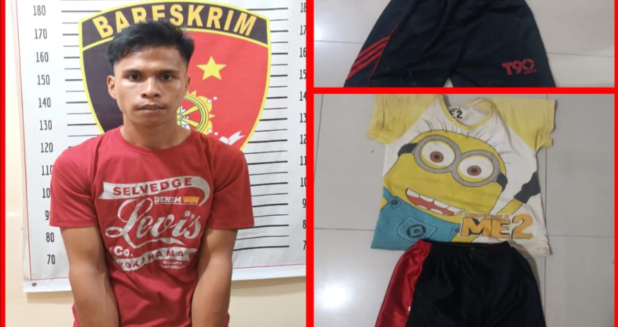 Diduga Cabuli Anak Bawah Umur di Babat Toman, Warga Lubuk Linggau Diamankan