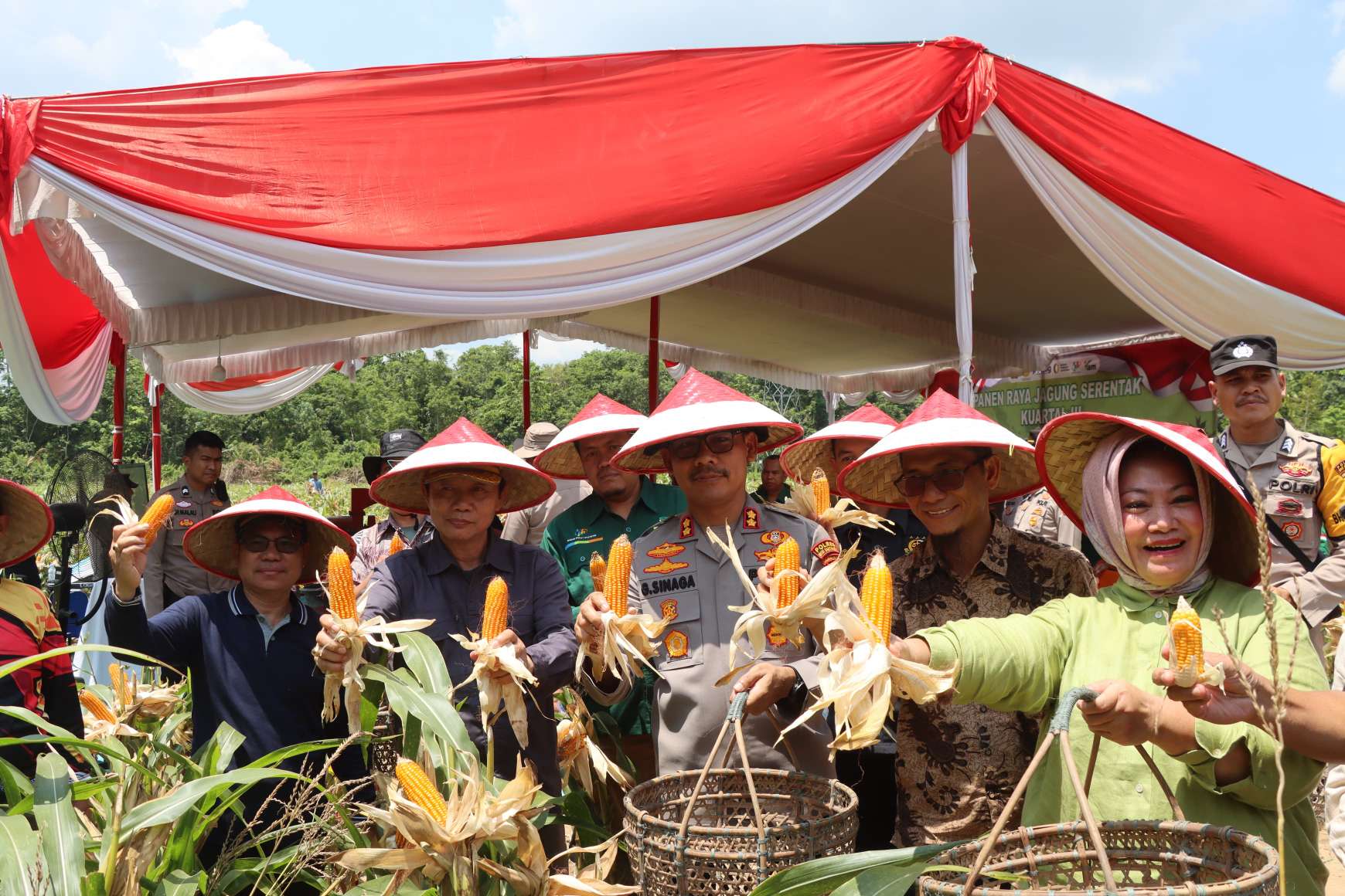 Panen Raya Jagung Serentak, Polri dan Pemkab Muba Teguhkan Komitmen Swasembada Pangan