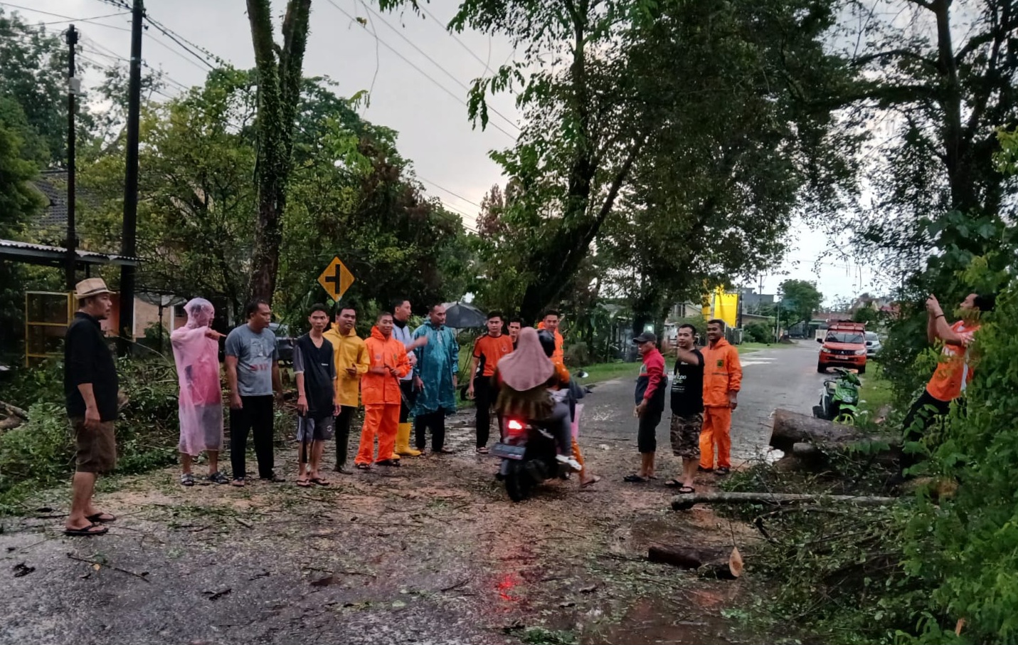 Hujan Deras, Pohon Besar Tumbang Tutupi Jalan Muara Teladan