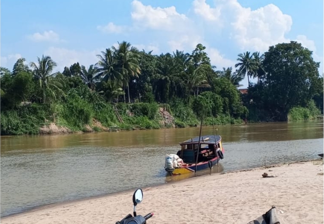 Heboh! Buaya Besar Muncul di Sungai Ogan, Warga Tanjung Raja Selatan Diimbau Waspada