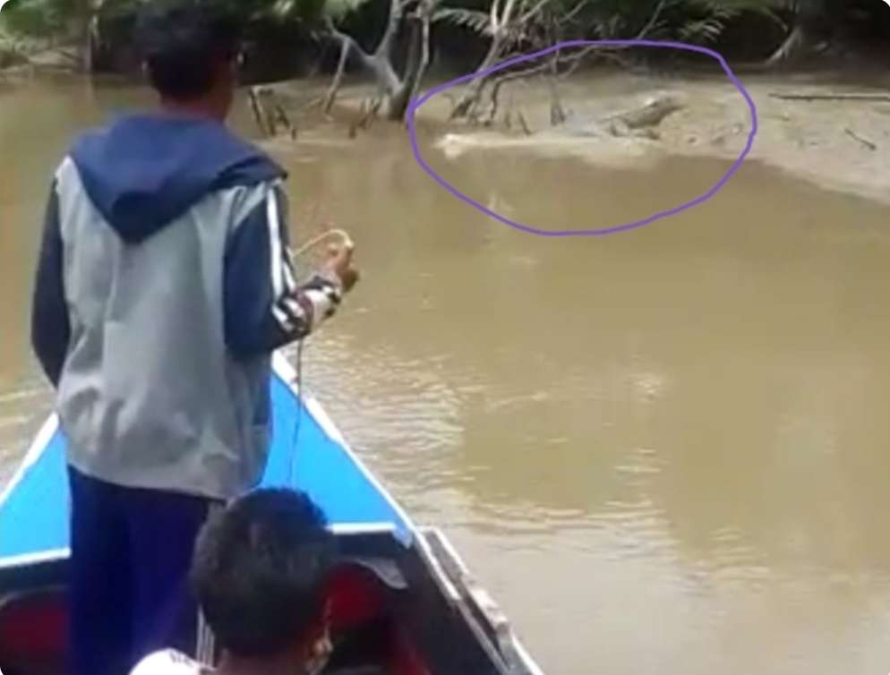 Kades Ini Himbau Warganya Tidak Mencari Ikan Sungai Bungin Selat Penuguan, Dampak Nelayan Disambar Buaya