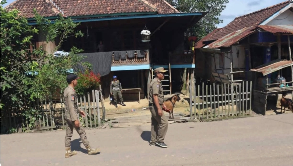 Satpol PP Muba Tertibkan Hewan Ternak Berkaki Empat di Kecamatan Batang Hari Leko