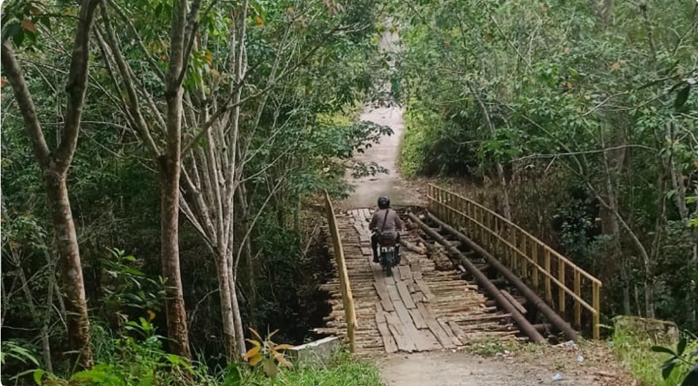 Naas, IRT di OKU Diserang Beruang, Saat Sedang Menyadap Karet