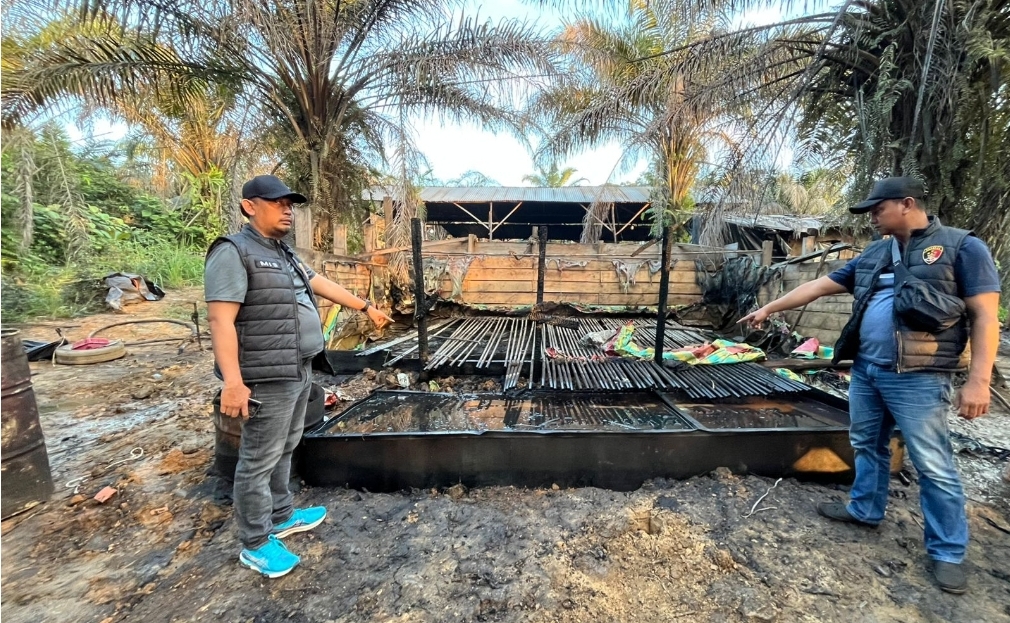 Polres Muba Amankan Pemilik Masakan Minyak Illegal Terbakar di Keluang