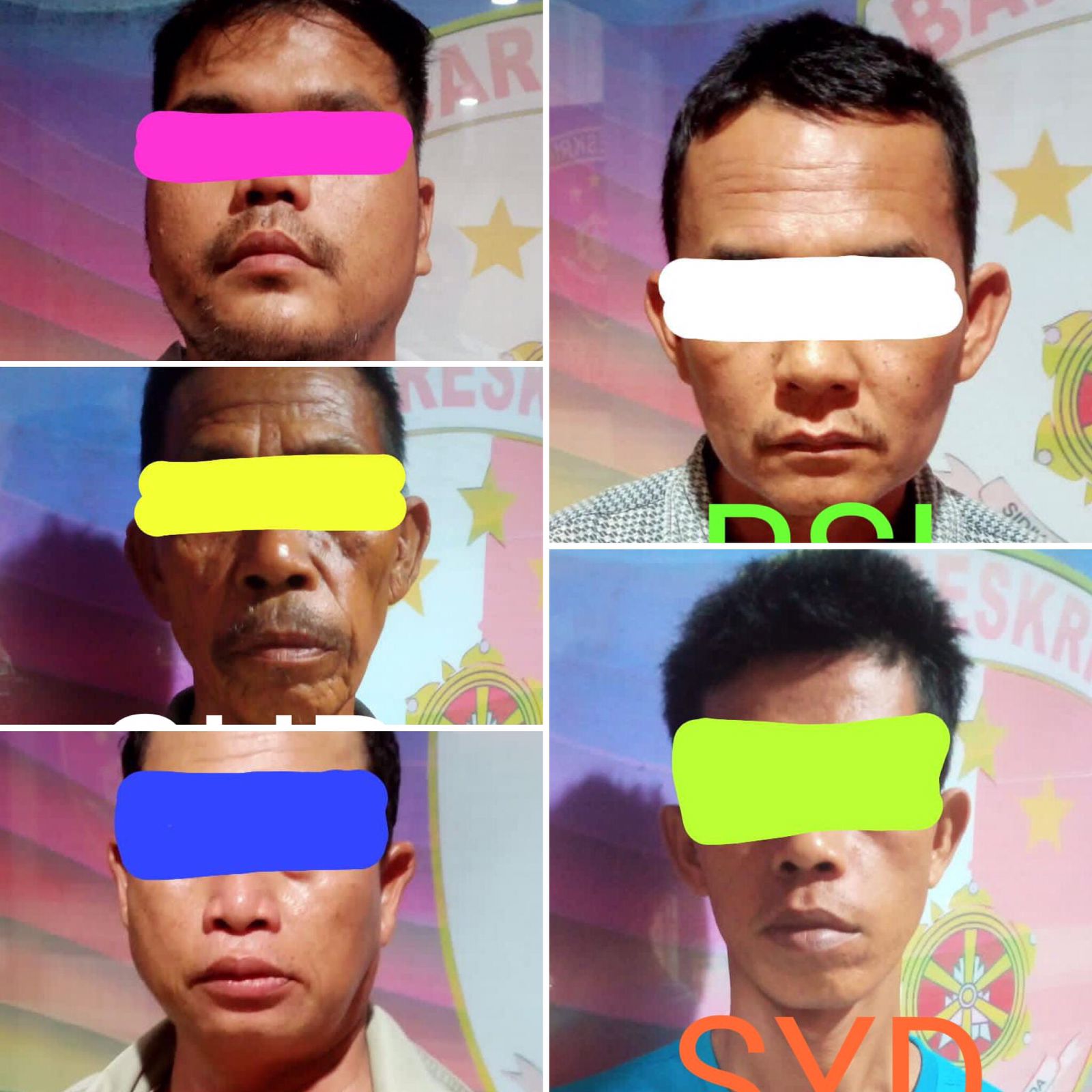 Lapak Judi Sabung Ayam di Sematang Borang Digerebek Polisi, 7 Orang Diamankan