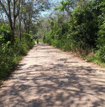 Warga Desa Purwosari Berharap Adanya Lampu Jalan