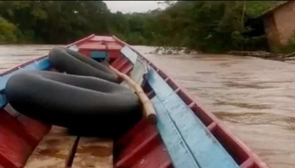 Kecelakaan Air Kembali Terjadi di Perairan Banyuasin, Perahu Ketek Terbalik, 2 Meninggal 1 Menghilang