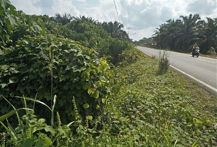 Batas Desa Ngunang dan Ngulak 3 Kurang Terawat 