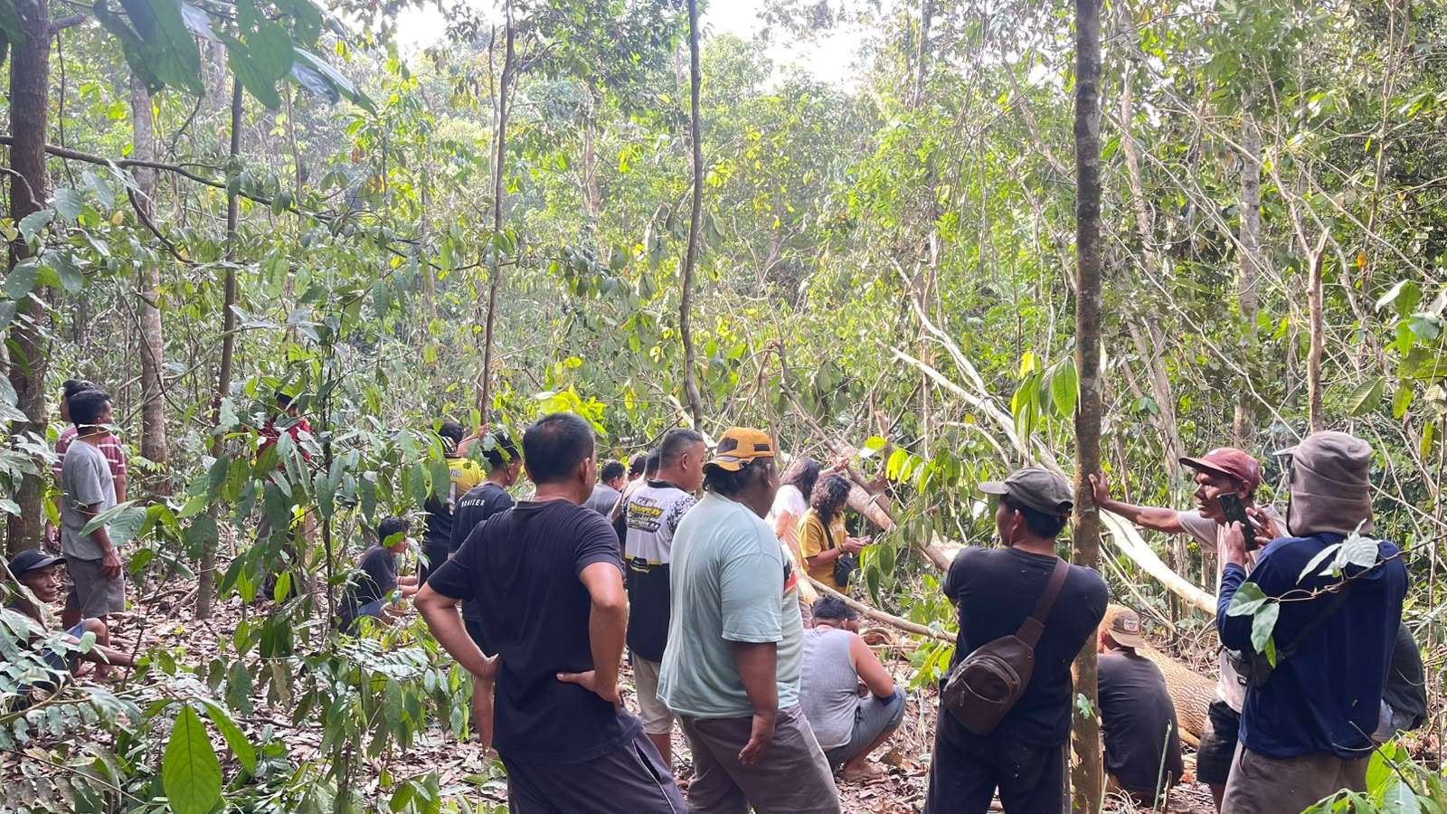 Warga Temukan Tengkorak dan Tulang Diduga Kerangka Manusia di Semak Belukar Bayung Lencir