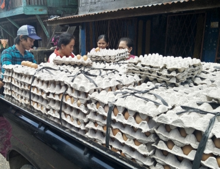 Pasca Perayaan Nataru, Harga Telur Ayam Alami Kenaikan