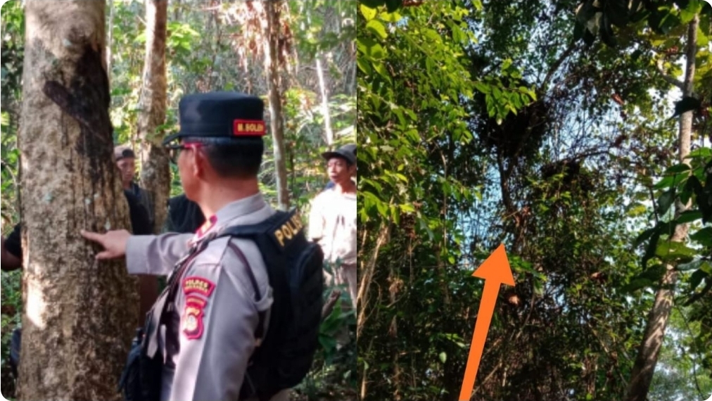 BKSDA Temukan Sarang dan Jejak Beruang di Musi Rawas, Warga Diminta Waspada