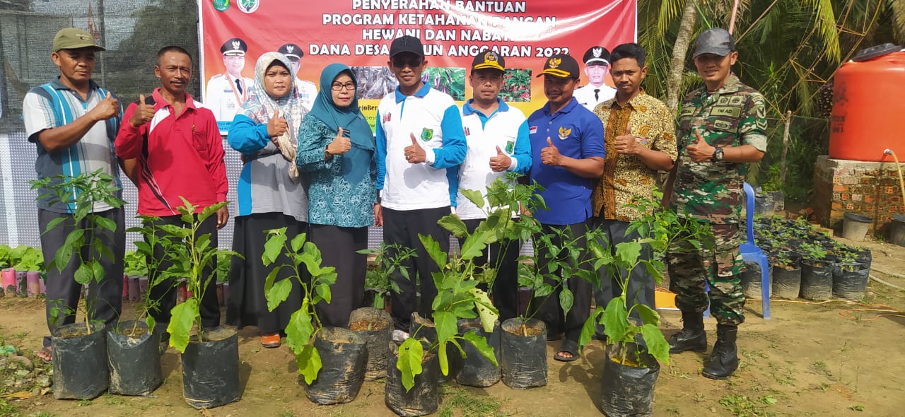 Pemdes Mulyo Rejo Sebarkan Bibit Cabe dan Terong Ke Warga, Setiap KK Dapat 8 Batang 