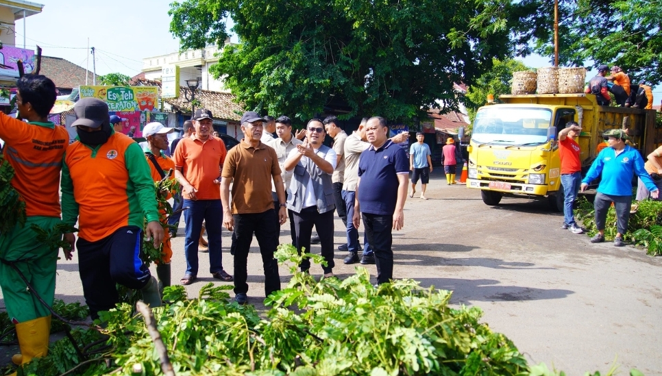 Pj Bupati Sandi Fahlepi, Turun ke Lokasi Tinjau Pohon Tumbang, Warga Terdampak Akan Mendapatkan Bantuan 