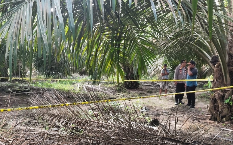 Polisi Ungkap Penyebab Kematian Pemas, Jenazah yang Ditemukan di Kebun Sawit di A7 Keluang 