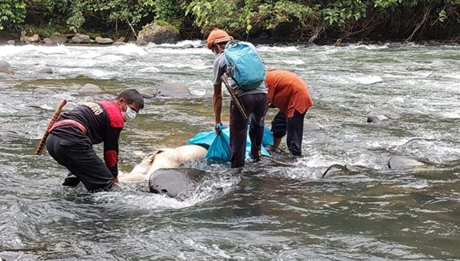 11 Hari Hilang di Sungai Air Enim, Warga Muara Enim Ditemukan Meninggal