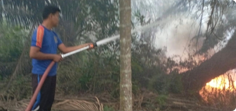 Petugas Damkar Sungai Lilin Berhasil Padamkan Karhutla di Babat Supat, Setengah Hektare Lahan Terbakar