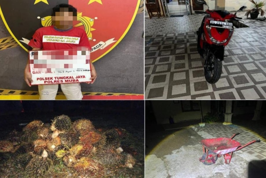 Tertangkap Basah Panen Buah Hindoli, Warga Sungai Lilin Diamankan