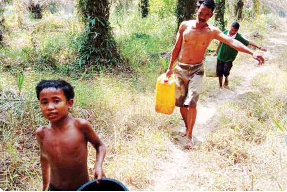 Mengenal Suku Anak Dalam, Ada di Perbatasan Sumsel dan Jambi