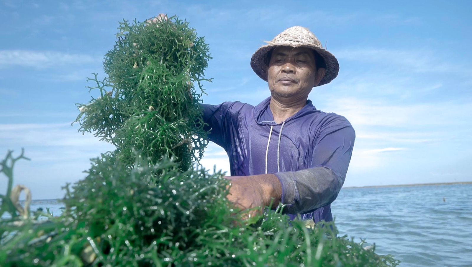 Ini 5 Komitmen Nyata BRI Dorong Peningkatan Kualitas Dan Daya Saing UMKM