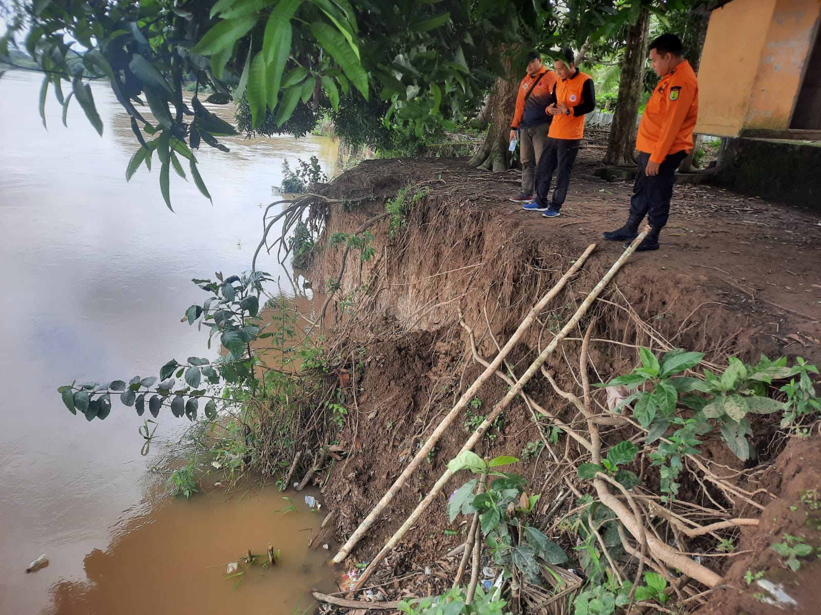 Curah Hujan Tinggi, Longsor Sepanjang 4 meter Terjadi di Sanga Desa