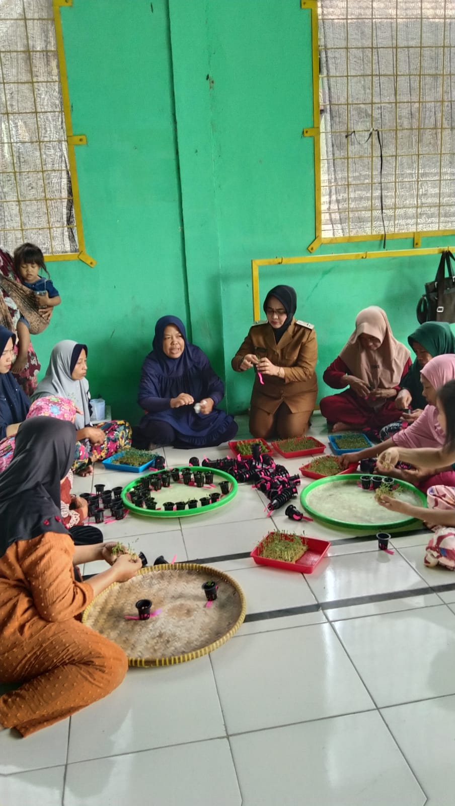 Program Ketahanan Pangan, Pemdes dan Warga Teluk Tanam Sayuran di Hidroponik