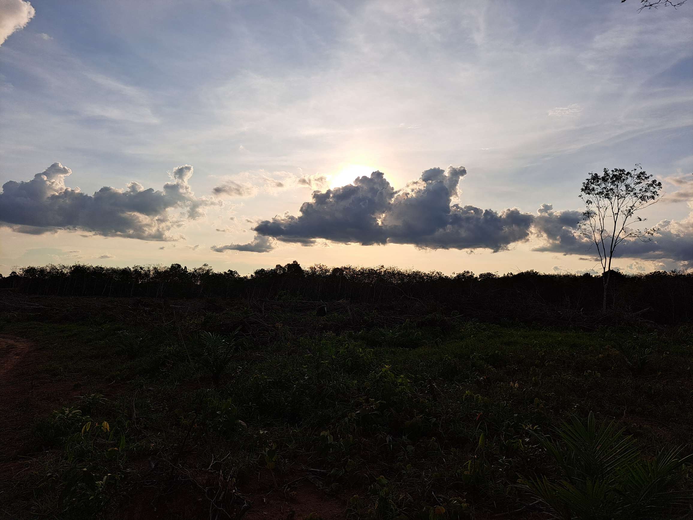 Prakiraan Cuaca Muba dan Beberapa Kabupaten di Provinsi Sumsel Kamis 13 April 2023