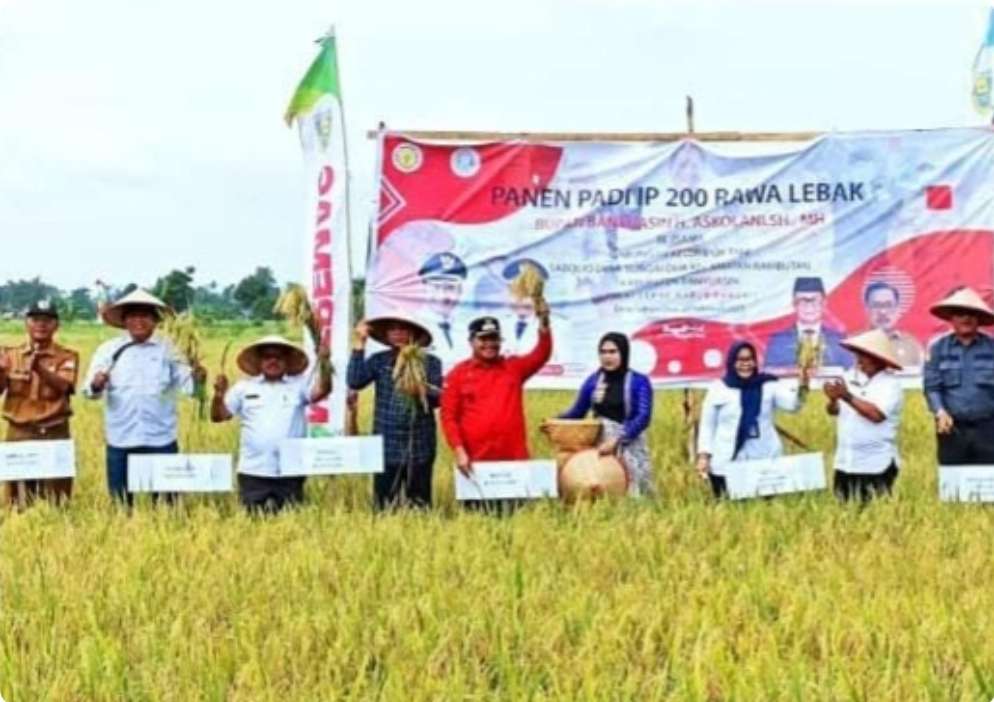 Banyuasin Optimis Jadi Daerah Terbesar Pertama Penghasil Beras di Indonesia