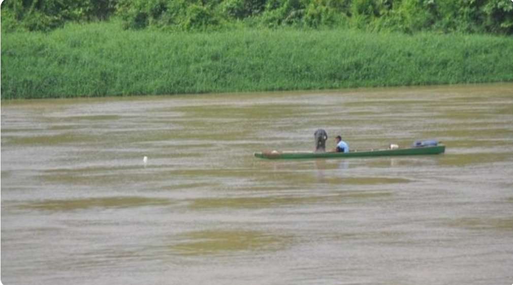 Air Sungai Musi Pasang, Warga Mulai Berburu Ikan