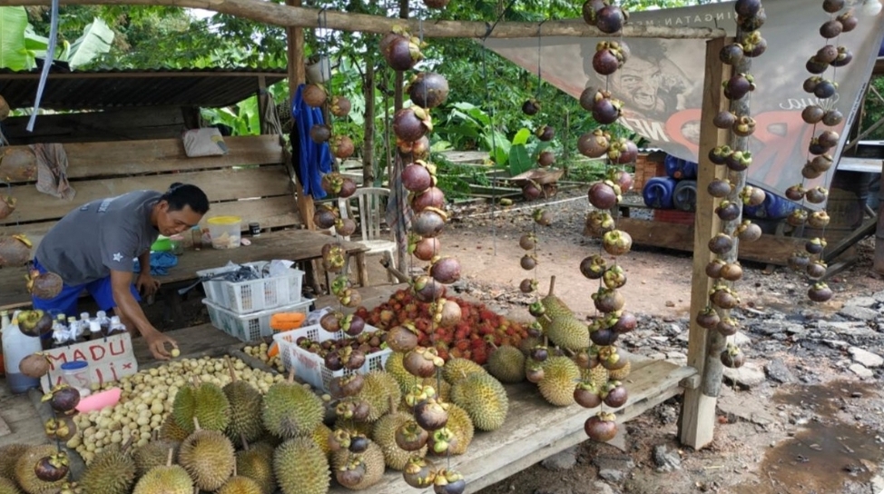 Musim Buah, Pedagang di Sanga Desa Ini Bisa Raup Keuntungan Banyak