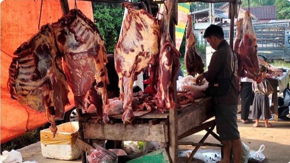 Pasokan Daging Sapi di Sanga Desa Menurun, Untungnya Harga Masih Tetap Stabil