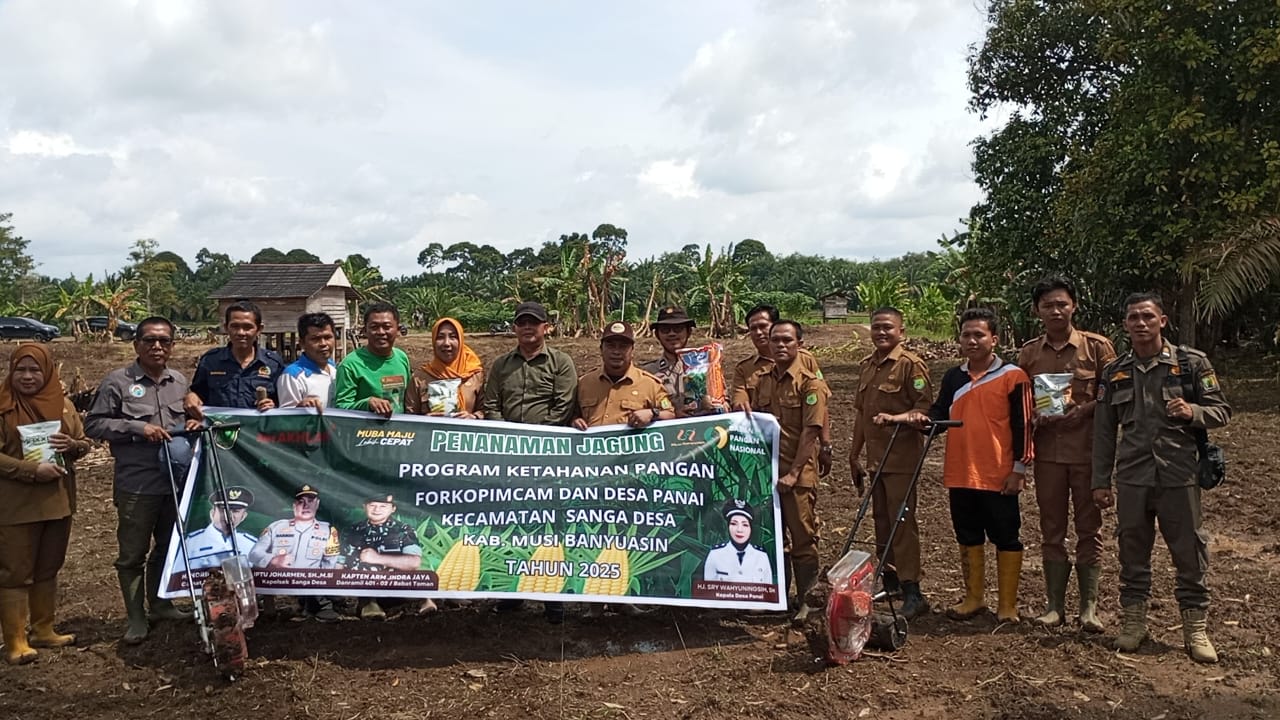 Pemerintah Desa Panai Bersama Forkopimcam Sanga Desa Tanam 1 Hektare Jagung Program Ketahanan Pangan