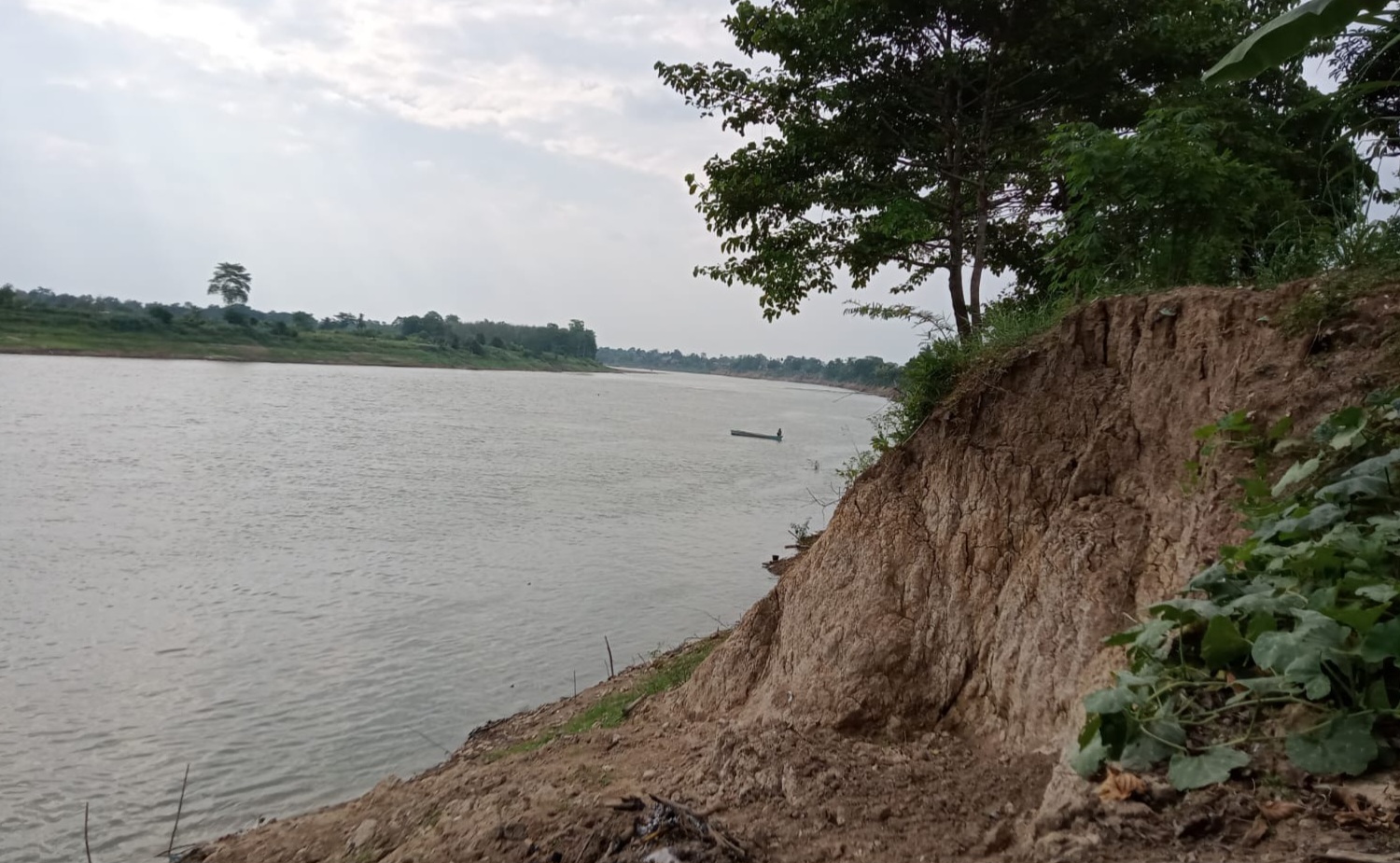 Mengkhawatirkan, Begini Kondisi Tebing Sungai di Bawah Alai Kota Sekayu