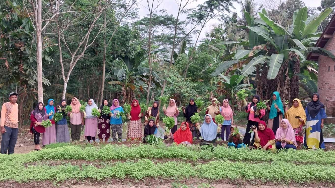 KWT Sritani Dusun 3 Desa Srigunung Berharap Bantuan 