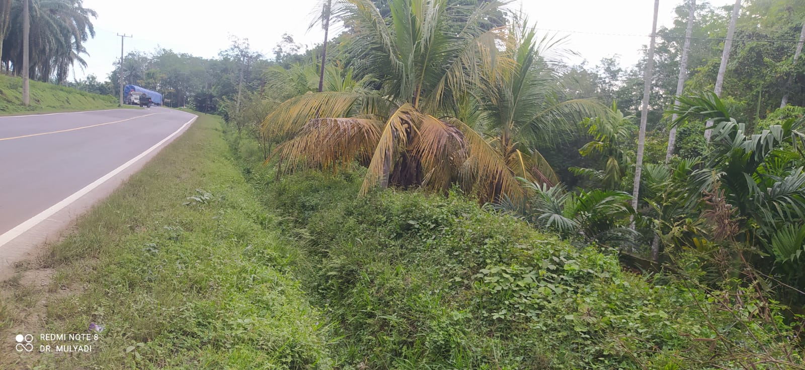 Pemilik Kebun di Tanjung Kerang Keluhkan Proyek Galian Mangkrak