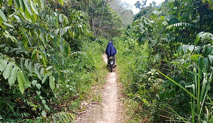 Ditumbuhi Semak Belukar, Badan Jalan Kian Menyempit