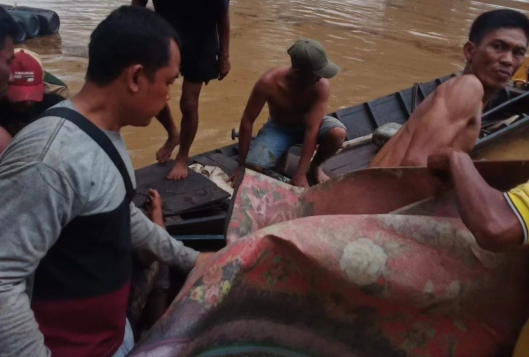 Heboh Kabar Pemeras Minyak Disambar Buaya di Sungai Dawas