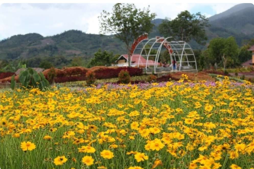 Mau Liburan Ke Jambi, Ini 5 Tempat Menarik Untuk Dikunjungi