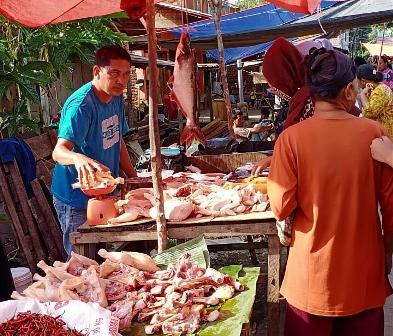 Harga Ayam Potong Tetap Stabil 