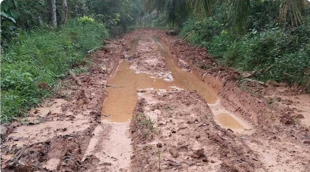 Jalan di Desa Epil Barat Kecamatan Lais Ini Cukup Menyedihkan, Berharap Ada Perhatian