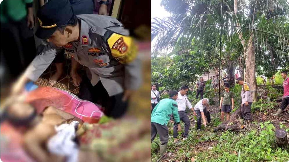 Tragis Kakek di Mura Meninggal, Terpeleset saat Panjat Pohon Durian Setinggi 15 Meter