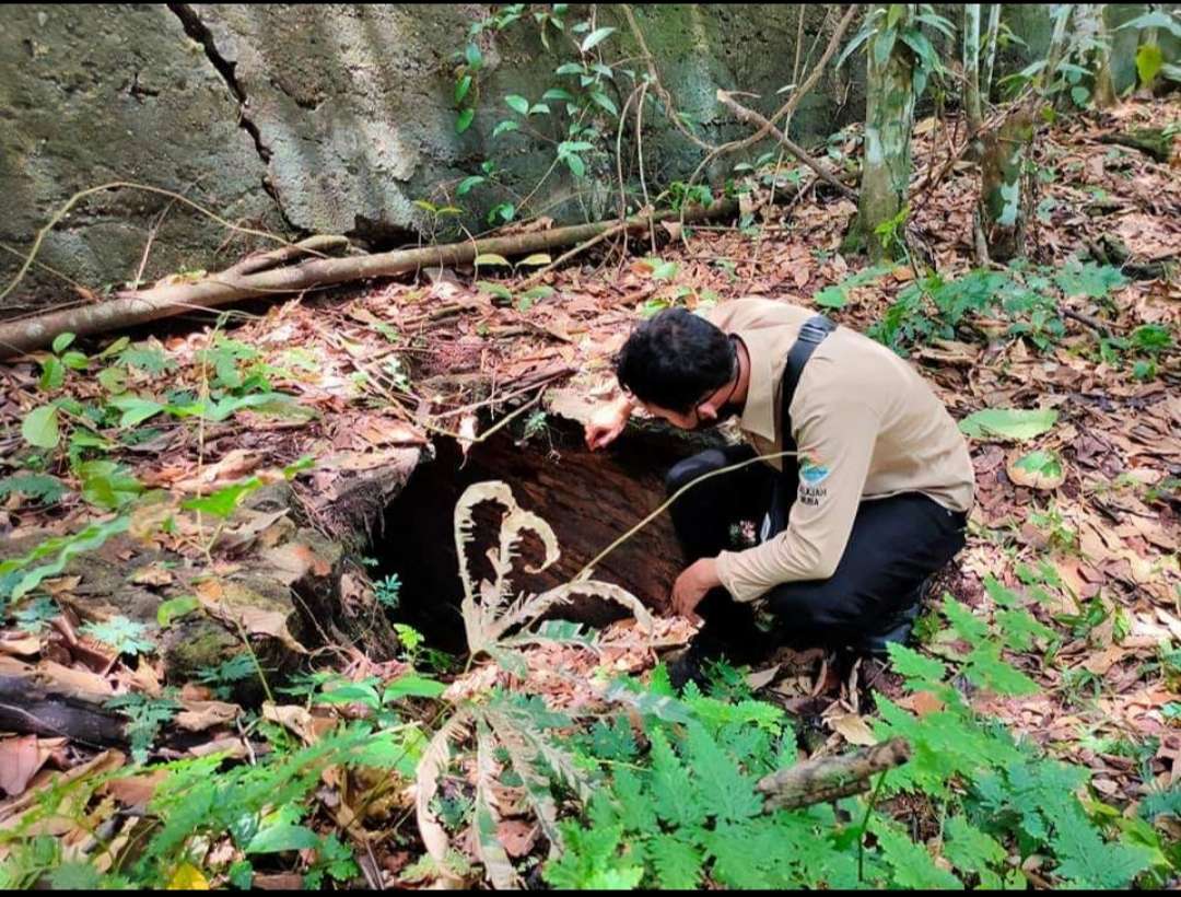 Wow, di Desa Rantau Kasih Muba, Ternyata Ada Bunker Peninggalan Belanda, Panjang nya Mencapai 100 Meter