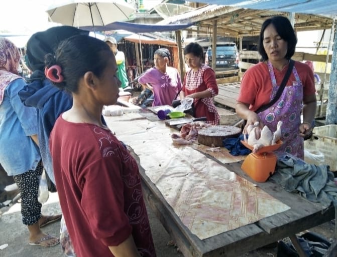 Harga Ayam Potong Terus Naik