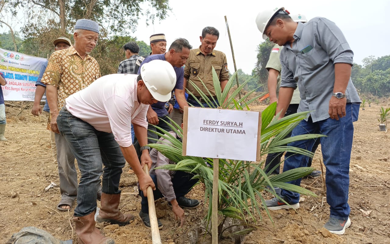 Bangun Kebun Plasma di Desa Kertajaya, PT. MAS Bersama Masyarakat Lakukan Tanam Perdana