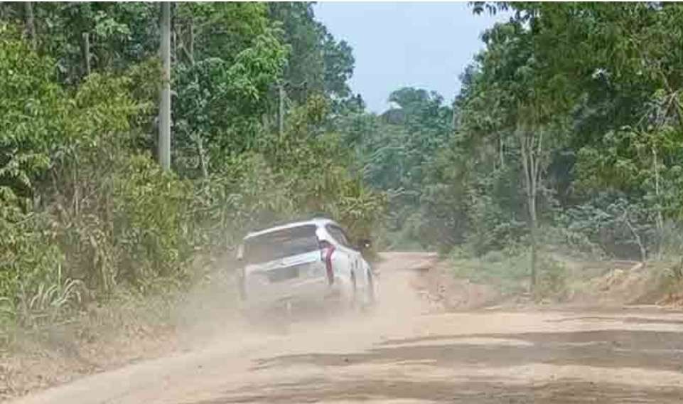 Tak Pernah Disiram, Warga yang Melintas di Jalan Desa Macang Sakti – SP Mangun Jaya 'Mandi DeBu'