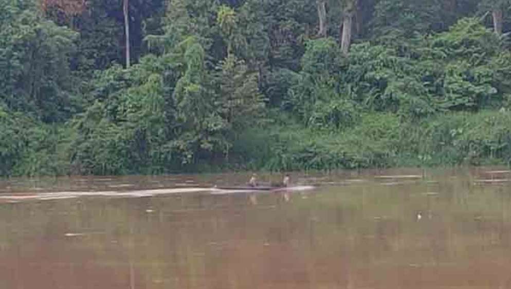 Kemungkinan Ada Hujan di Bagian Hulu, Debit Air Sungai Musi di Kecamatan Sanga Desa Naik