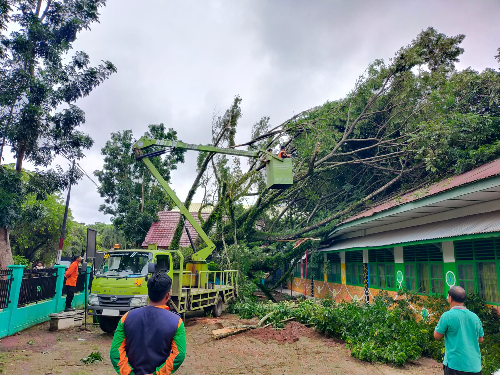 Kolaborasi Tim Sinergi Bersama Evakuasi Satu Pohon Besar Tumbang dan Kabel Listrik di Samping Masjid Jami'anur