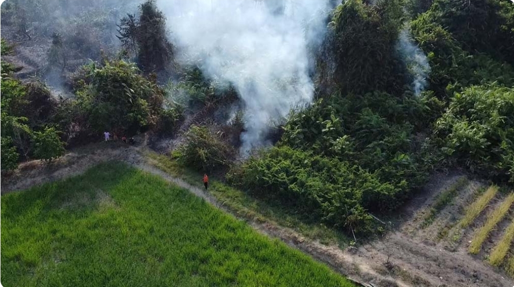 Kebakaran Lahan Terjadi di Kota Sekayu, BPBD Terjunkan Petugas Untuk Pemadaman