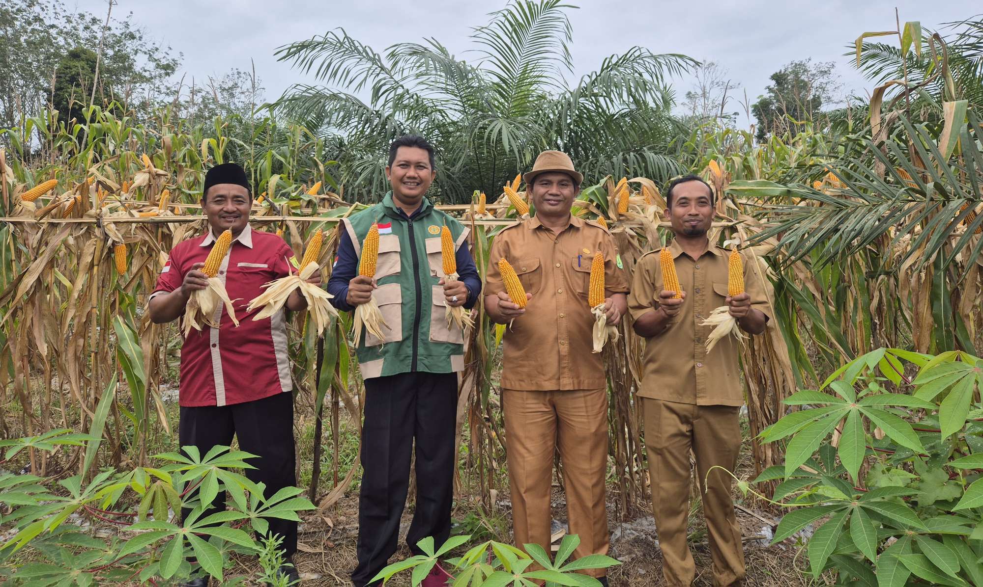 Program Ketahanan Pangan 2025 Berbuah Hasil, Pemdes Berlian Makmur Sukses Panen Jagung